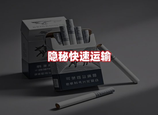 专业团队